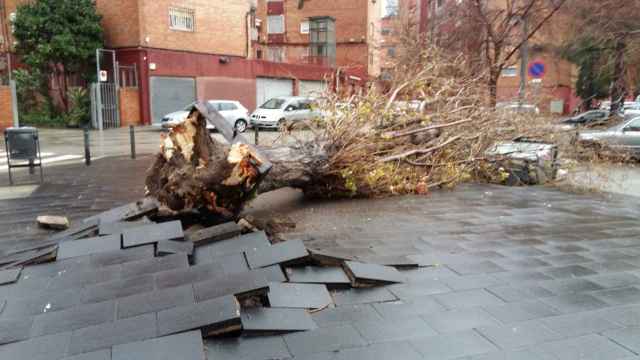 Destrozos por el temporal 'Gloria'