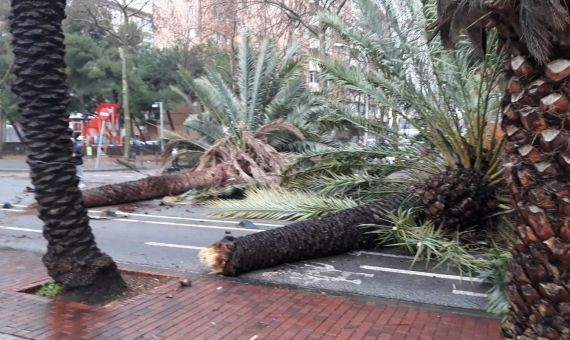 La Rambla de Prim, cortada por palmeras / ÒSCAR BENÍTEZ