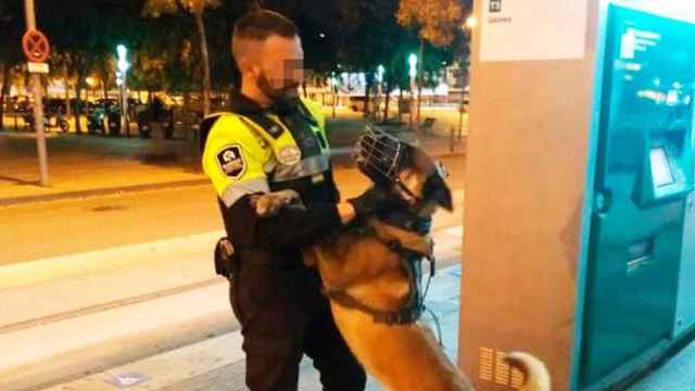 El  vigilante y a su perro que fueron apuñalados por un individuo en el tranvía / CG