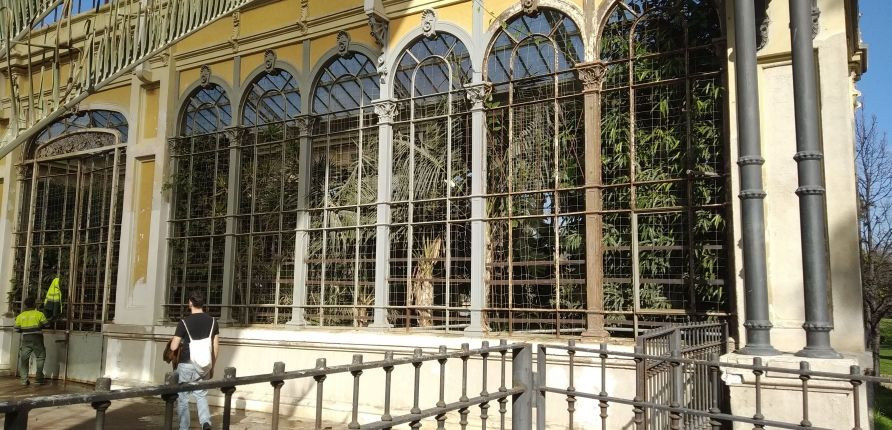 Interior de la construcción, con las plantas saliendo por las verjas / JORDI SUBIRANA