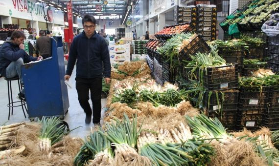 Francia, Bélgica y Alemania son los tres principales países donde más calçots se exportan / MERCABARNA