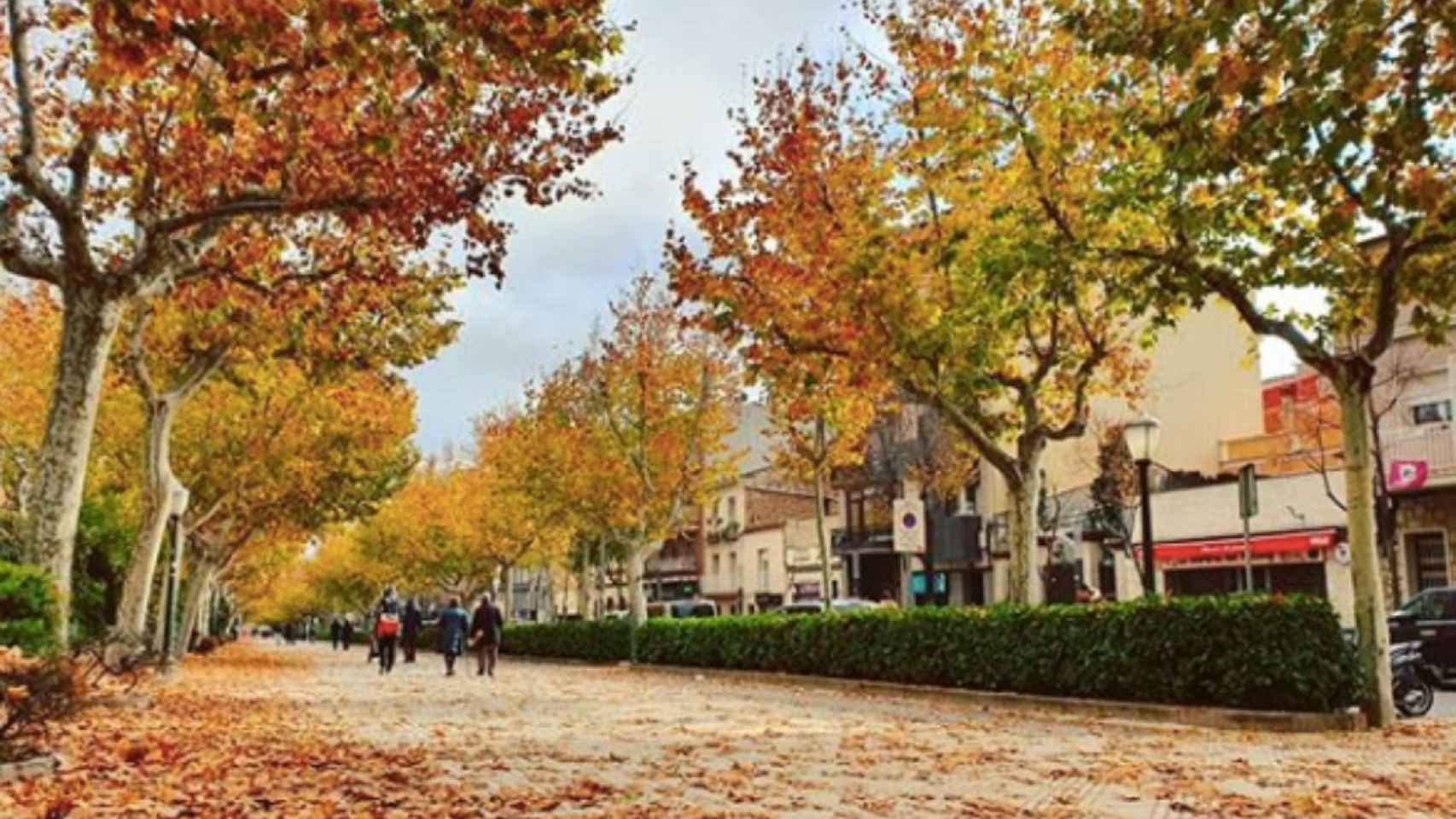 Imagen de una calle de Igualada / AYUNTAMIENTO IGUALADA