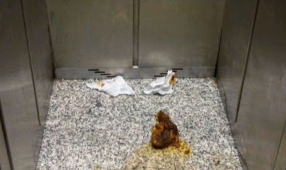 Excremento en el ascensor del 7bis de la calle Salvador / MA