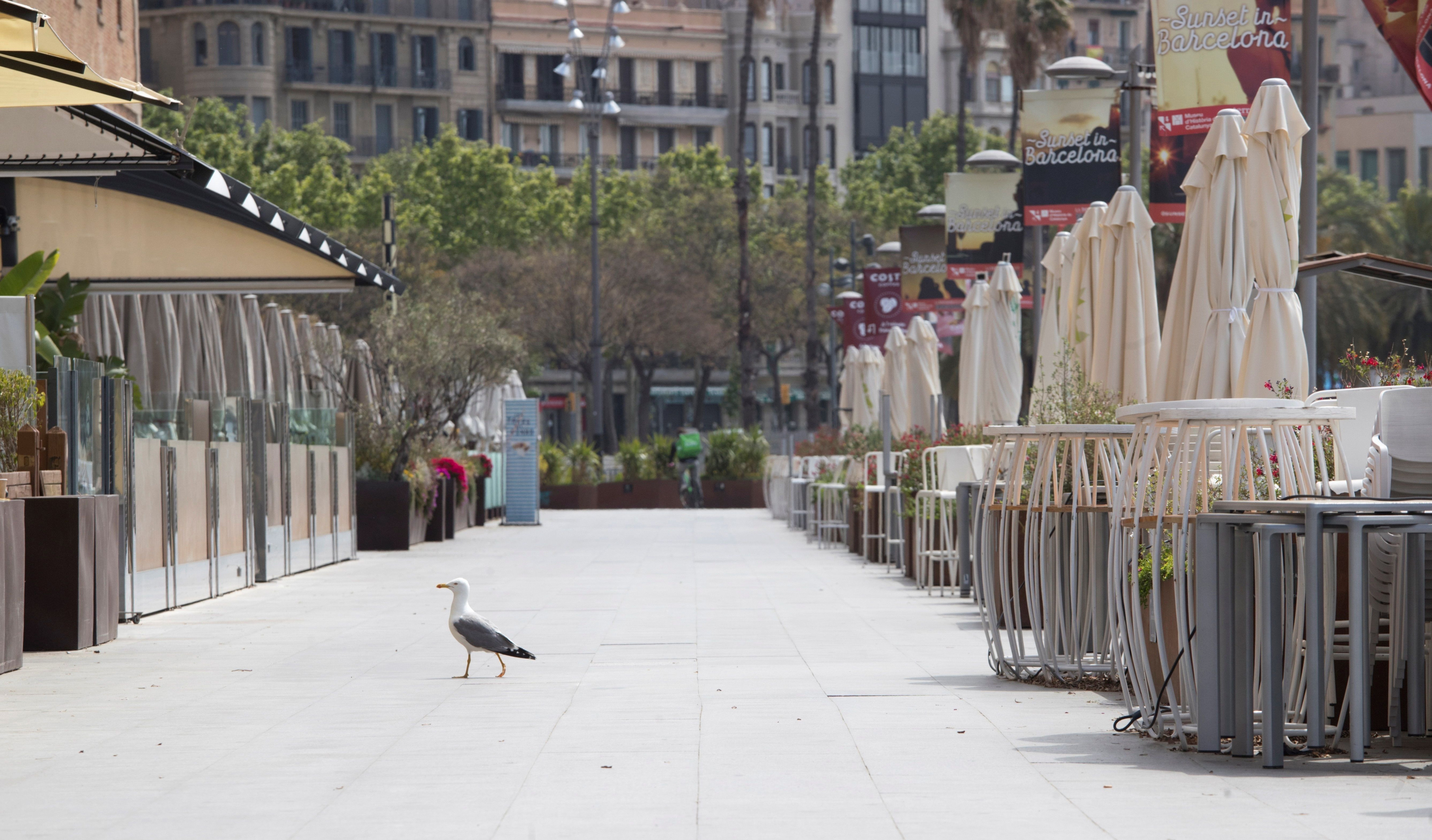 Terrazas cerradas en la zona del puerto de Barcelona, durante el fin de semana / EFE