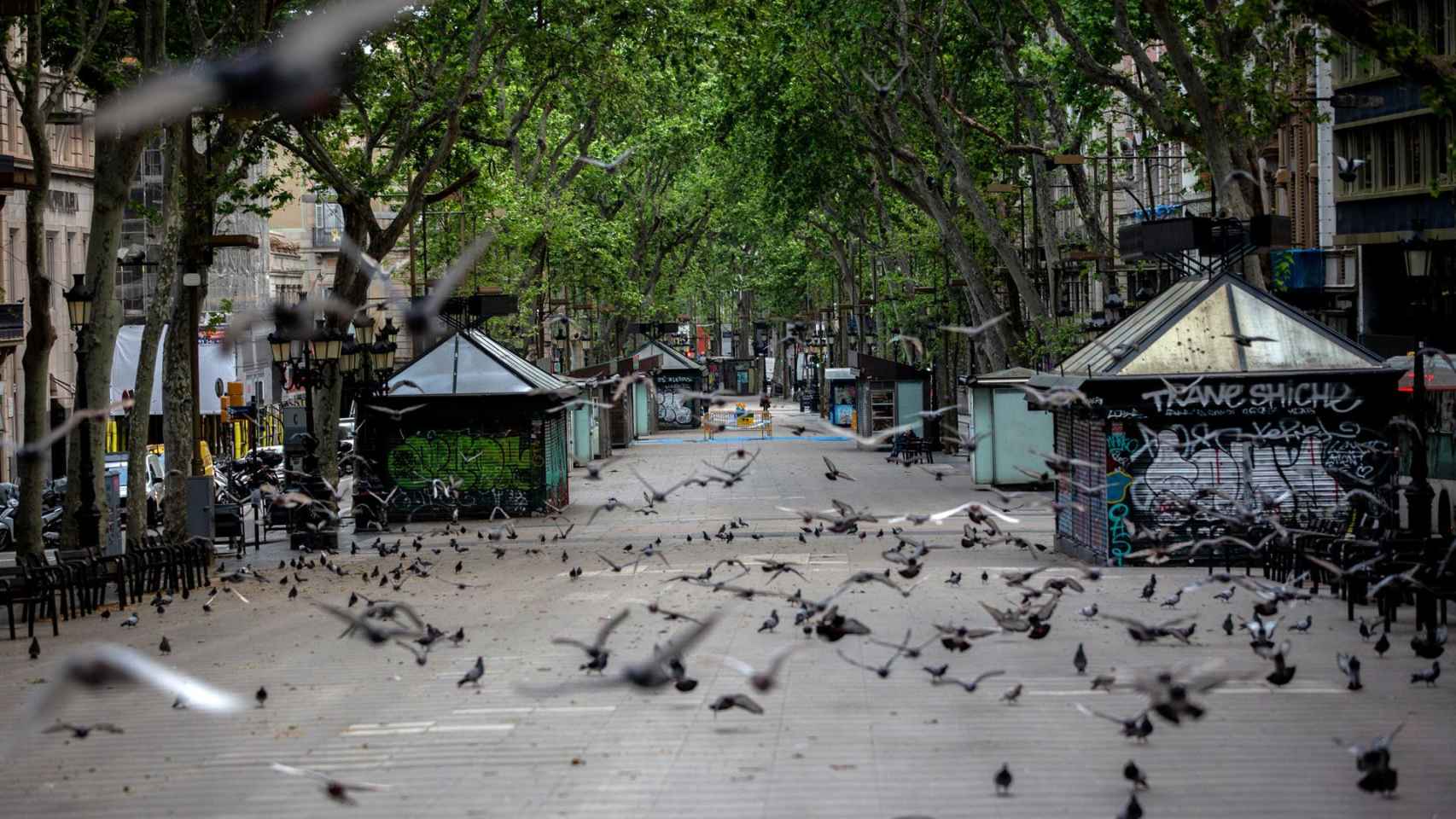 La Rambla Catalunya completamente vacía