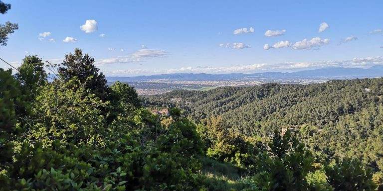 Vista del Parque de Collserola a unos metros donde dormía el presunto asesino de l'Eixample / G.A