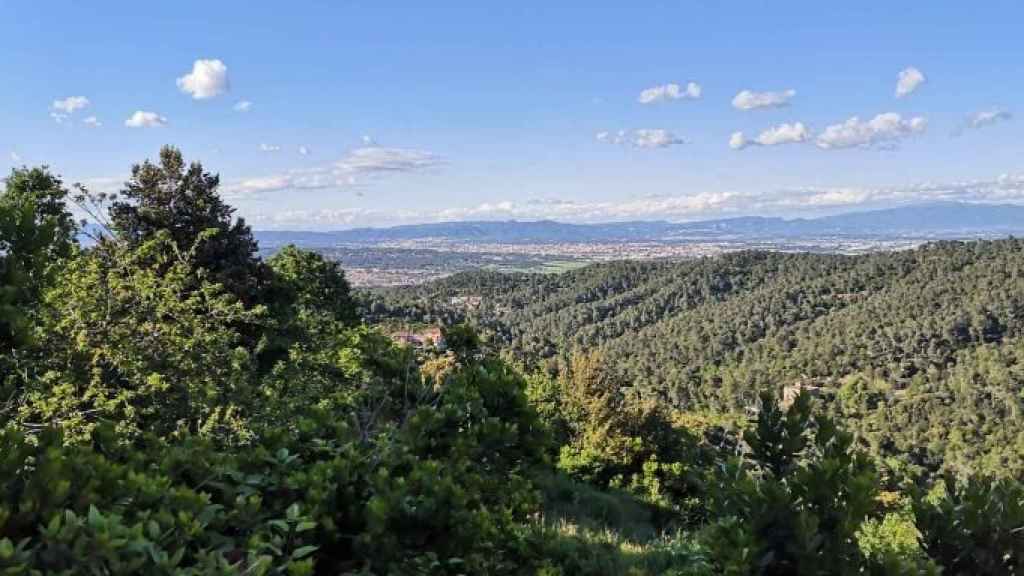 Vista del Parque de Collserola /