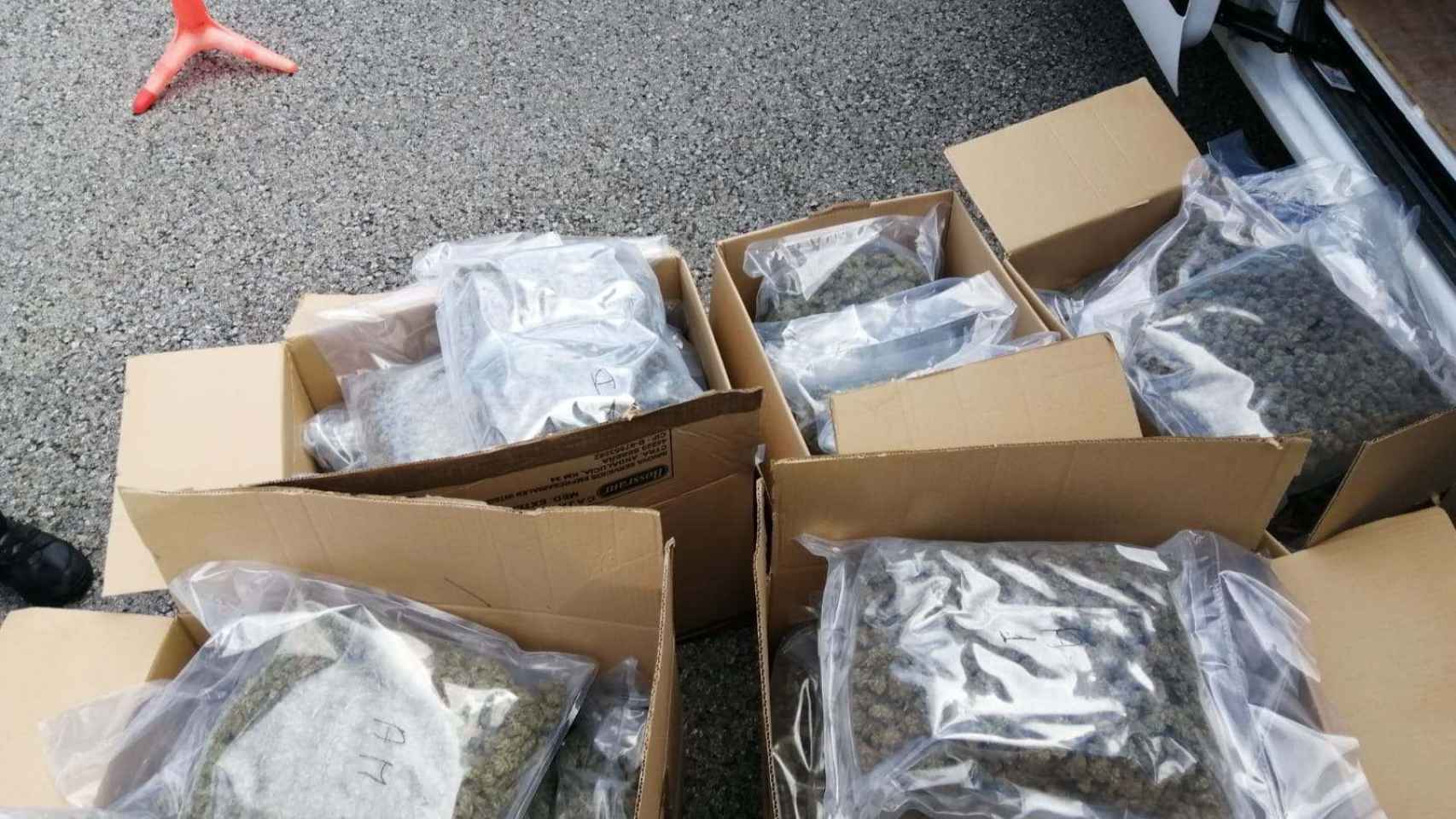 Kilos de marihuana incautada por la policía / MOSSOS D'ESQUADRA