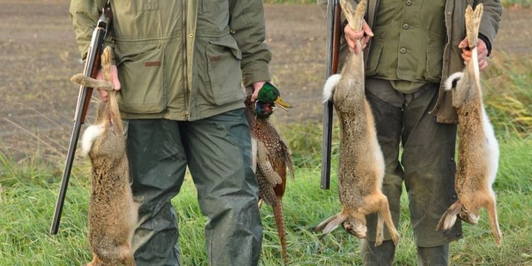 Dos cazadores portan cuatro animales muertos / PACMA