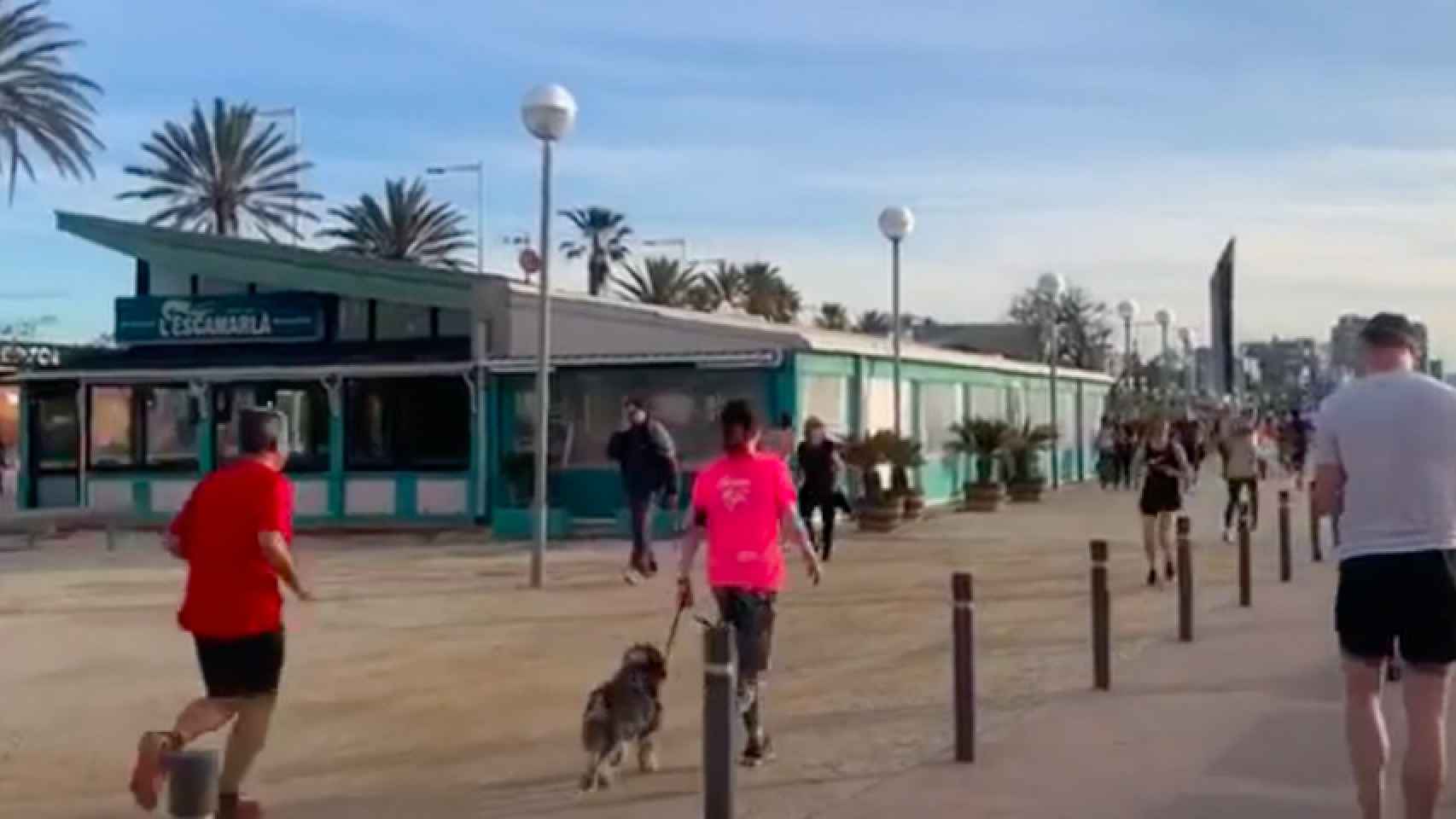 Deportistas junto a las playas de Barcelona / VM