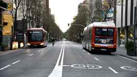 Dos buses de TMB en una calle de Barcelona / TMB