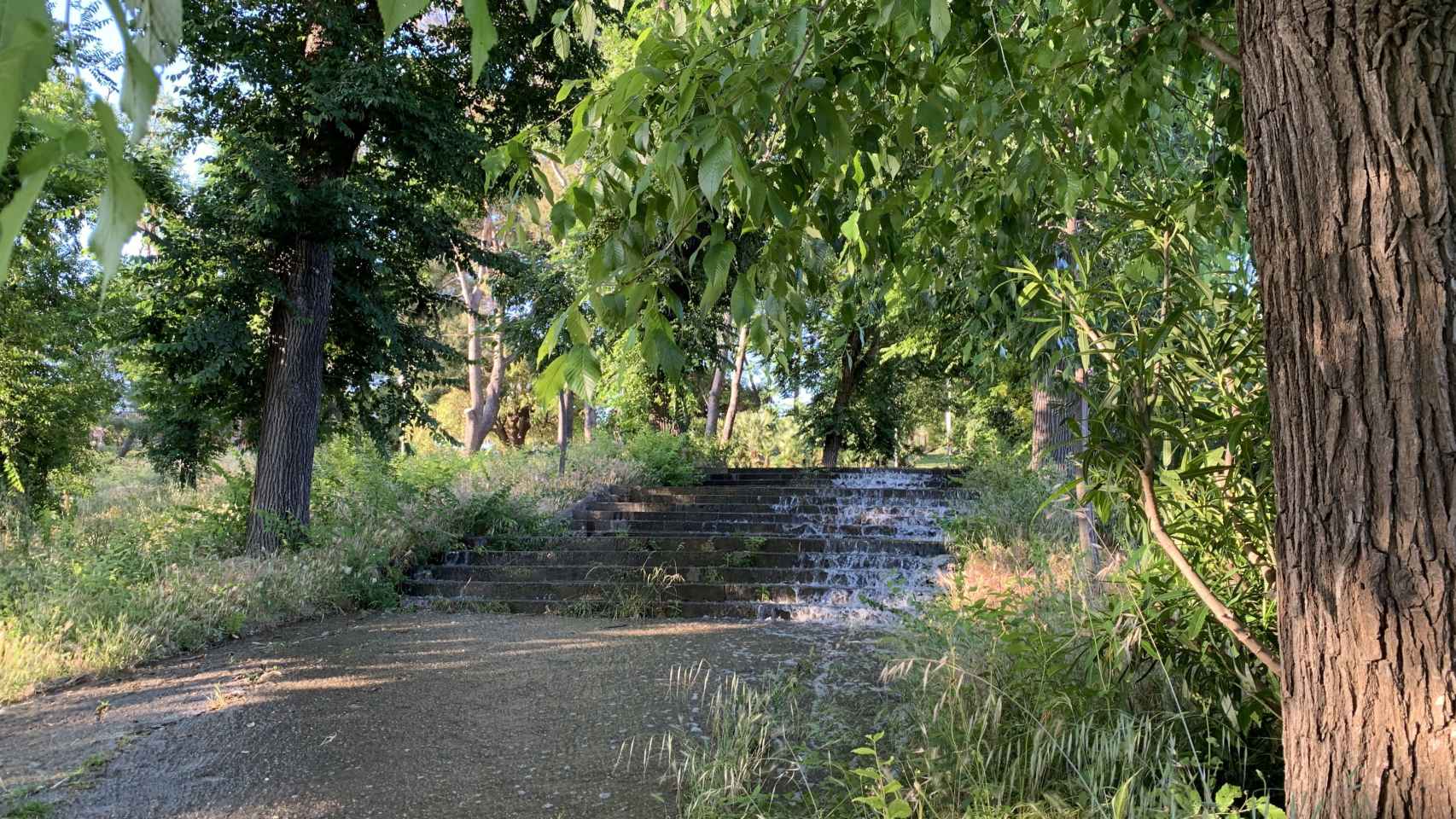 La zona cercana al mirador de l'Alcalde se ha levantado inundada este martes por la mañana por un fallo en una alcantarilla / V.M.