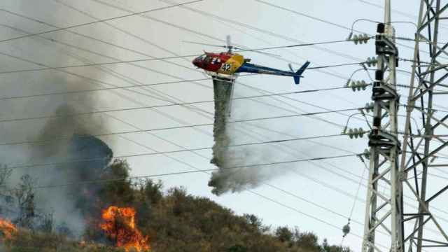 Trabajos de extinción en un incendio en Collserola en 2016 / EFE