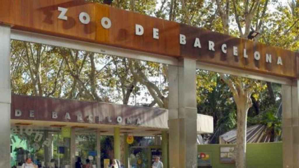 El Zoo de Barcelona, reabierto / AYUNTAMIENTO DE BARCELONA