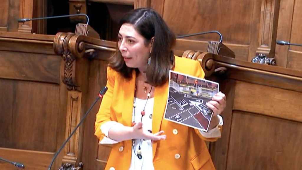 La concejal de Cs, Luz Guilarte, en un pleno del Ayuntamiento de Barcelona