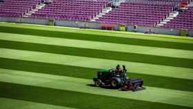 Césped del Camp Nou en una imagen de archivo / EFE