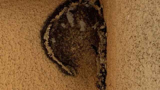 Un nido destrozado en Mollet del Vallès / MOSSOS D'ESQUADRA