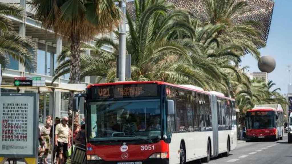 Un bus de TMB/ TMB