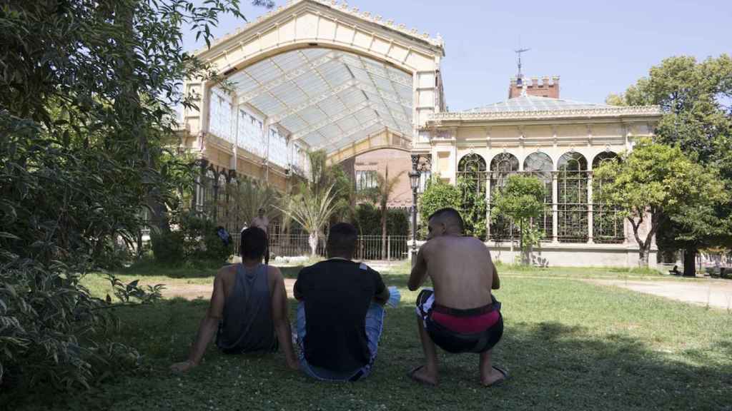 Tres de los cuatro jóvenes que viven en el Hivernacle ocupado / Sílvia Bosch