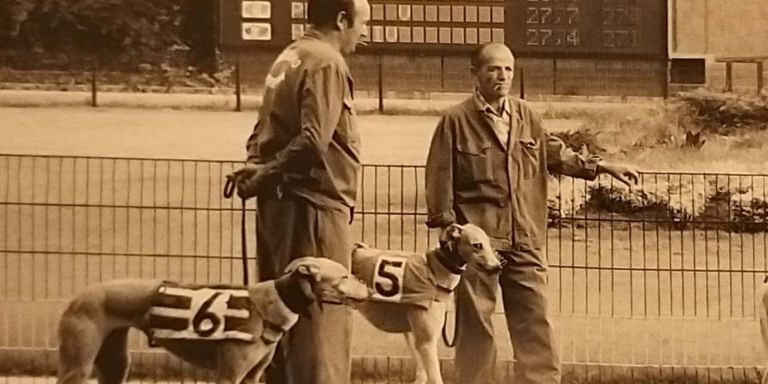 Dos galgos, en la pista, antes de una carrera / AYUNTAMIENTO DE BARCELONA