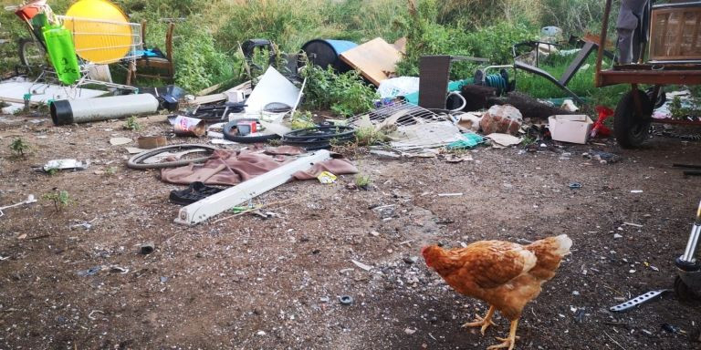 Una gallina entre la chatarra de la nave de la calle Maresme / G.A