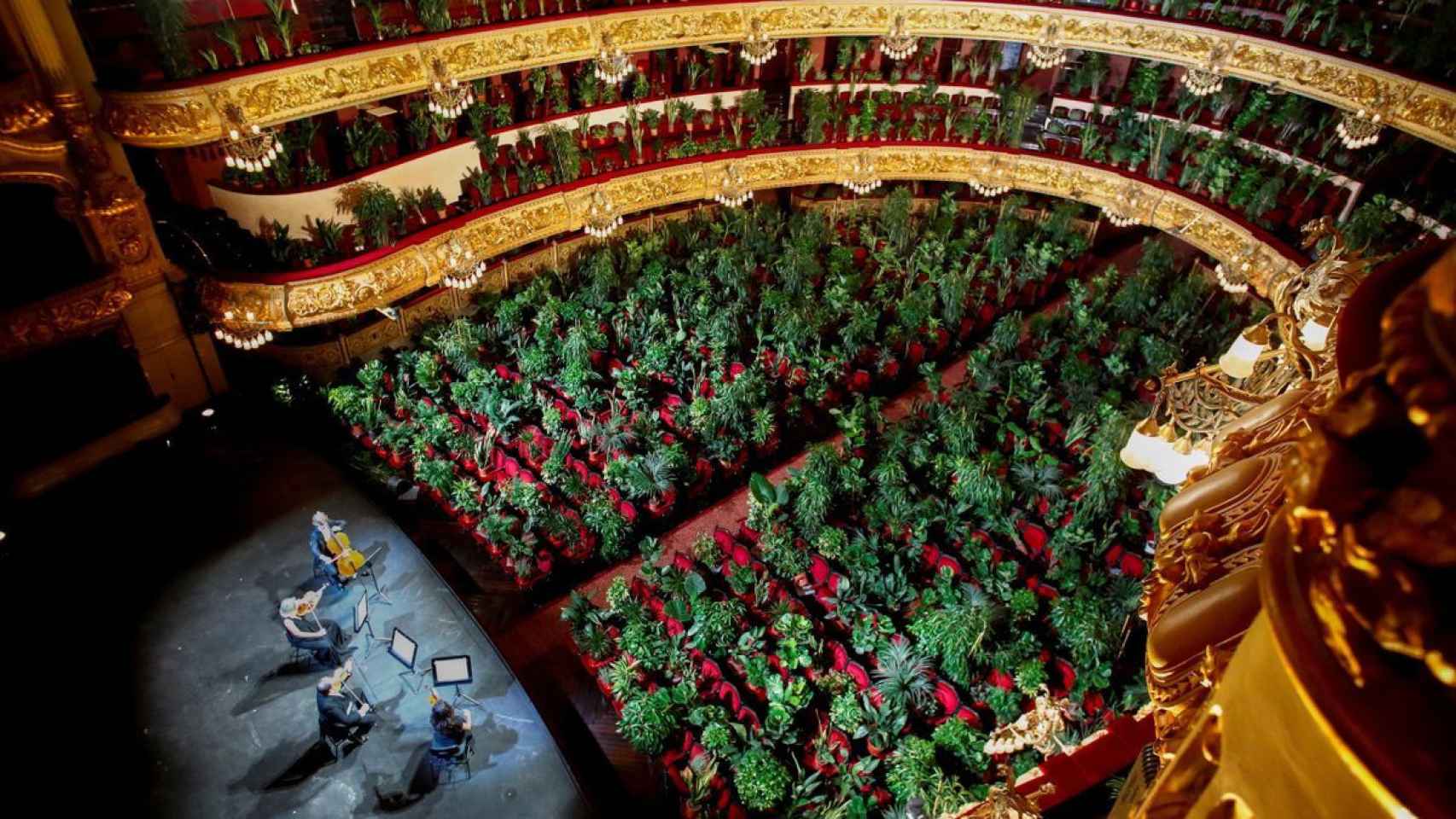 El Gran Teatre del Liceu lleno de plantas y sin público / EFE