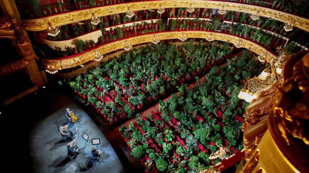 El Gran Teatre del Liceu lleno de plantas y sin público / EFE