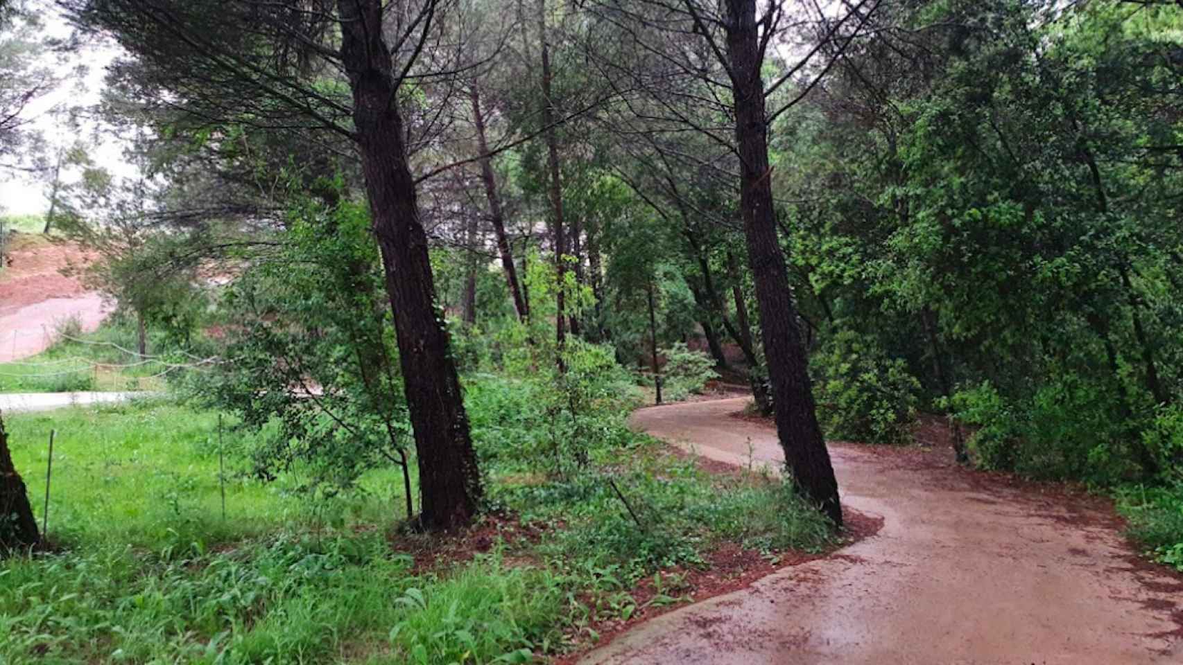 Imagen del bosque de Volpelleres, en riesgo por la construcción de un centro escolar / GOOGLE MAPS