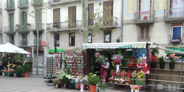 José Moya, en su floristería de La Rambla / JORDI SUBIRANA