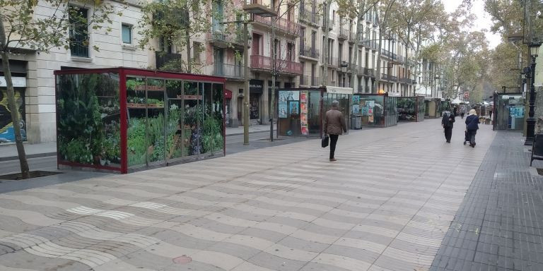 Una floristería de la Rambla, con la persiana bajada / JS