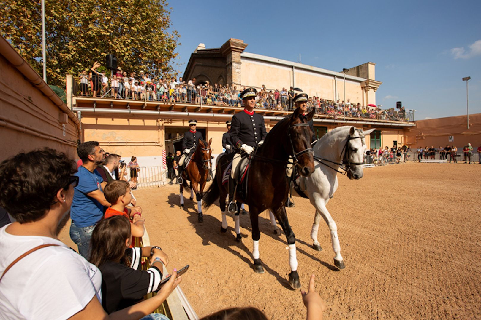 Exhibición de la Unidad Muntada de la Guardia Urbana / AYUNTAMIENTO DE BARCELONA