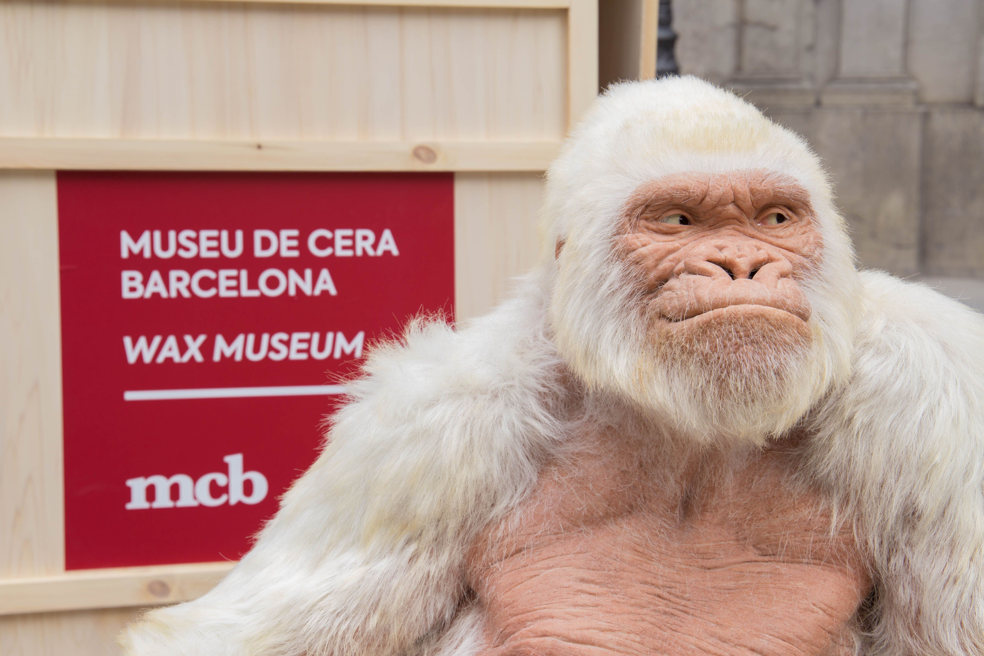 Figura de cera de copito de Copito de Nieve / MUSEO DE CERA BARCELONA