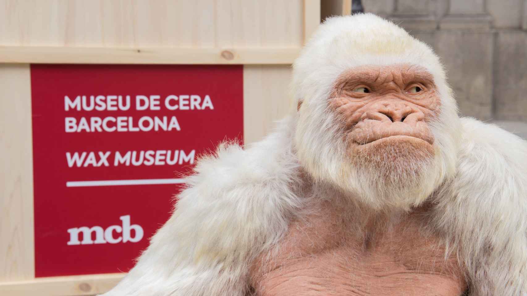 Figura de cera de copito de Copito de Nieve / MUSEO DE CERA BARCELONA