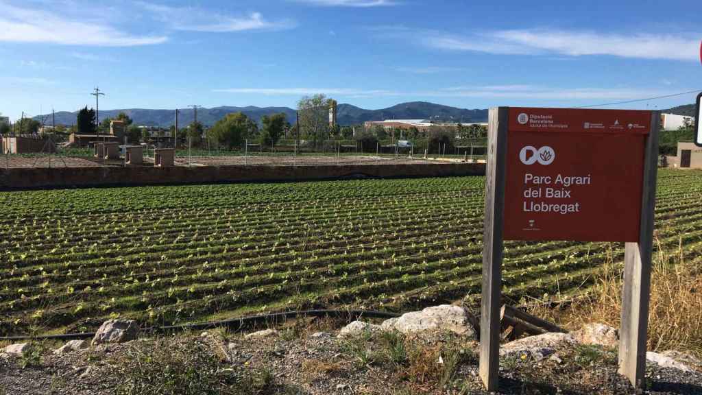 Terrenos del Parc Agrari del Baix Llobregat en Viladecans / RP