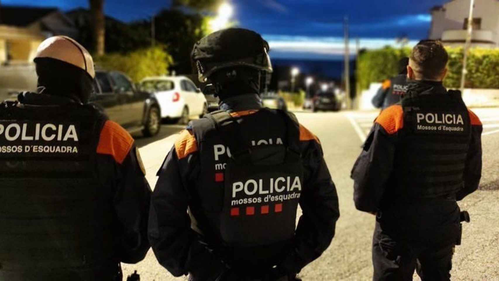 Operación de los Mossos d'Esquadra contra el tráfico y cultivo de marihuana / MOSSOS D'ESQUADRA