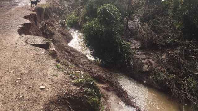 Un gran socavón en uno de los caminos de Collserola, tras las lluvias del viernes / METRÓPOLI ABIERTA