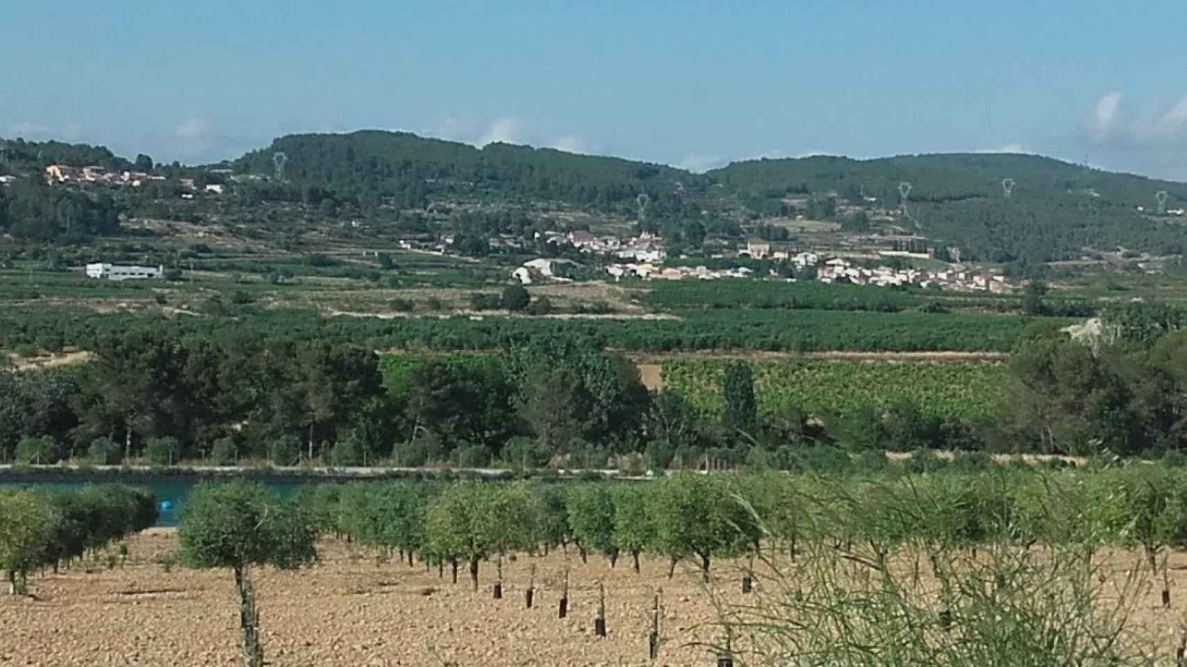 Finca La Gramanosa, en Avinyonet del Penedès, propiedad de Germina Finance