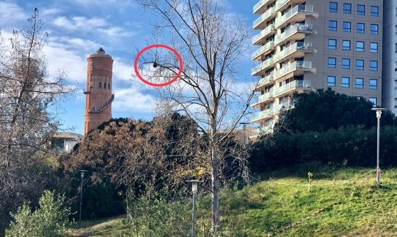 El tercer avispero aparecido en el parque de Diagonal Mar / ASSOCIACIÓ DE VEÏNS DIAGONAL MAR