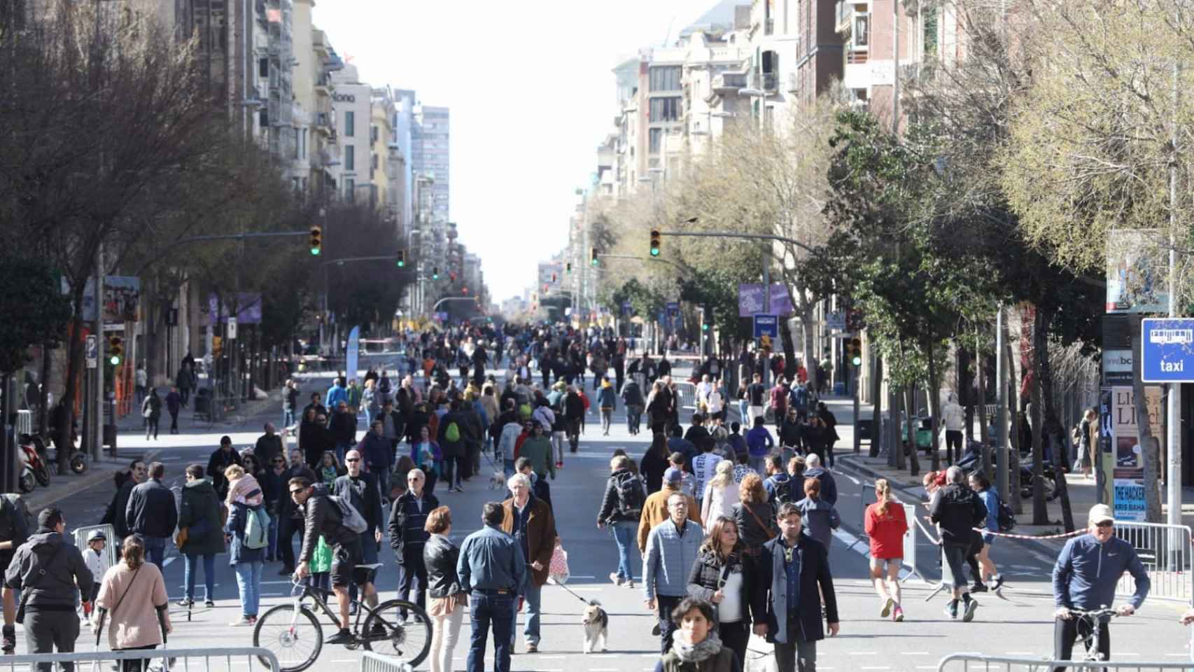 Corte en la calle de Aragó, promovido por el Ayuntamiento / AYUNTAMIENTO DE BARCELONA