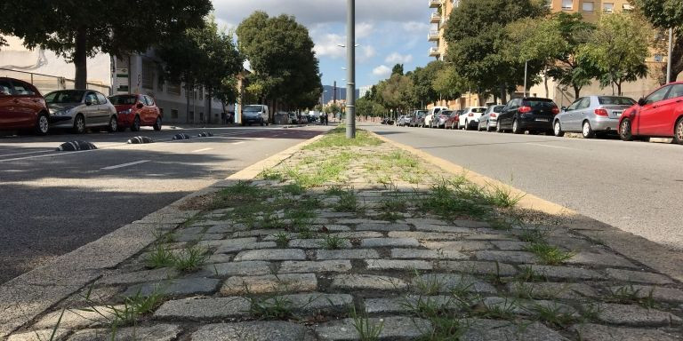 Calle Sant Adrià, con estacionamiento gratuito en ambos sentidos de la marcha / RP