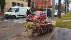 Coche destrozado en la Diagonal tras la caída de una palmera / BETEVÉ