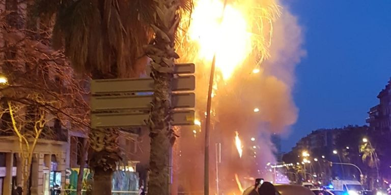 La palmera, ardiendo / CEDIDA