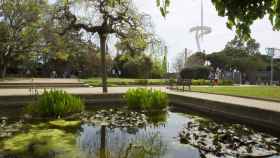 Jardín de Aclimatación de Montjuïc / AYUNTAMIENTO DE BARCELONA