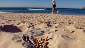 Colillas en una playa / EFE