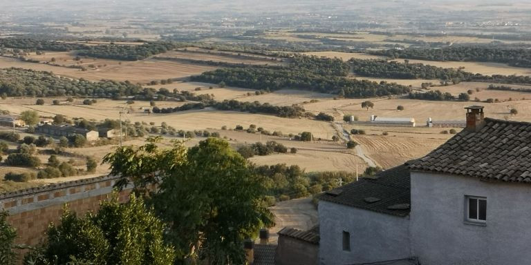 Los campos ubicados frente a la casa de Valèria en Cubells / CEDIDA