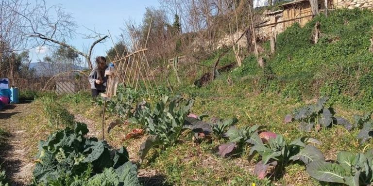 Víctor y su amiga trabajan para montar un pequeño huerto en la casa rural de Santa Pau / CEDIDA