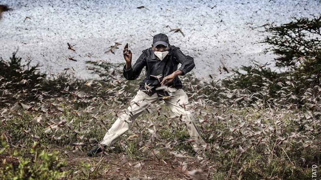 Fotografía con la que el barcelonés Luis Tato opta al World Press Photo del Año / LUIS TATO