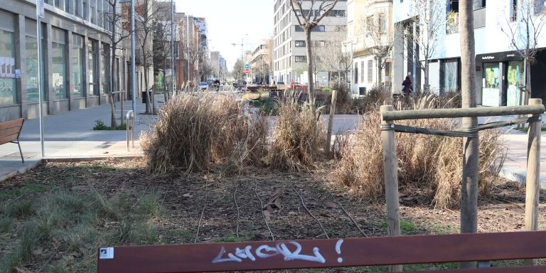 Una de las zonas verdes de la Superilla del Poblenou, que presenta un aspecto dejado/ ELISABET GONZALEZ