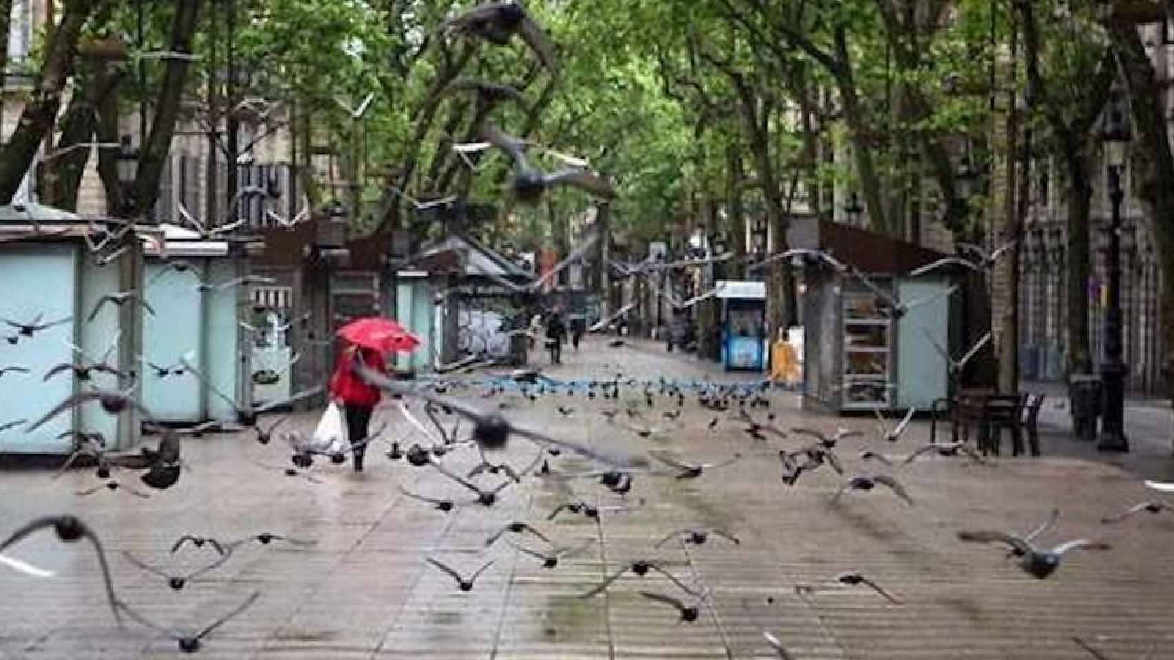 La Rambla, vacía, durante la pandemia / EFE