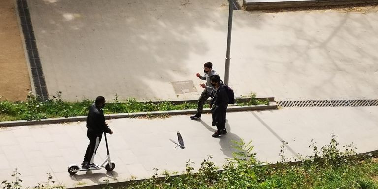 Los patinetes eléctricos se han convertido en un dolor de cabeza para la policía / METRÓPOLI ABIERTA